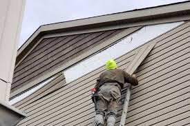 Best Custom Siding Design  in Sparks, NV